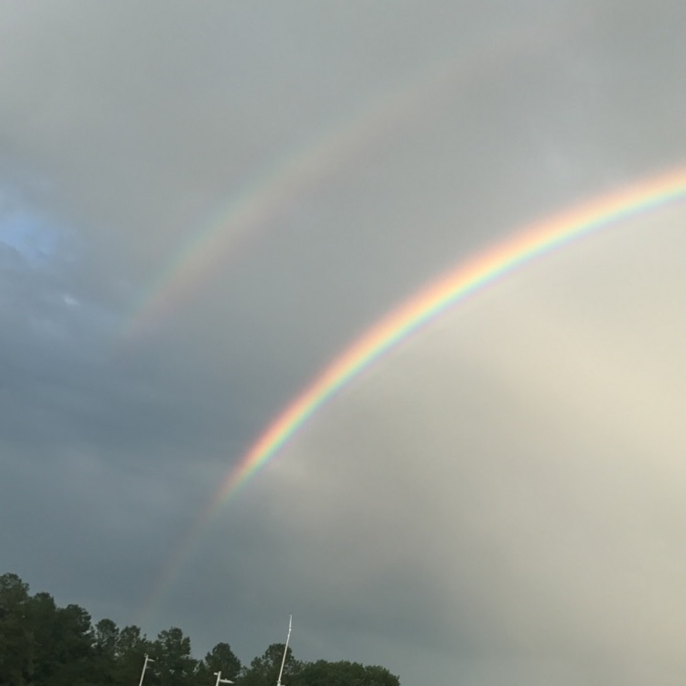 Meet your Posher, Nina